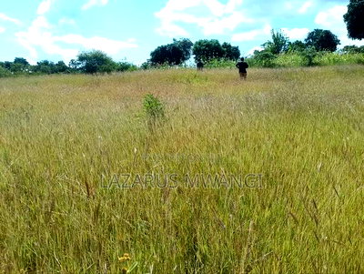 One Acre Mwea Karaba Kikumini Area Wango - Image 5