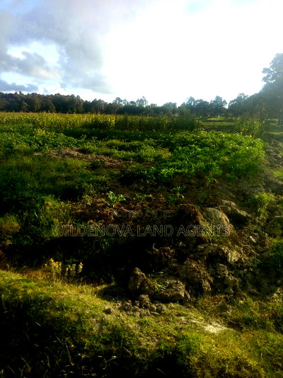 1 Acre of Land on Sale at South Kinangop - Image 2