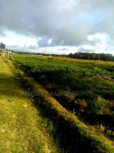1 Acre of Land on Sale at South Kinangop - Image 5