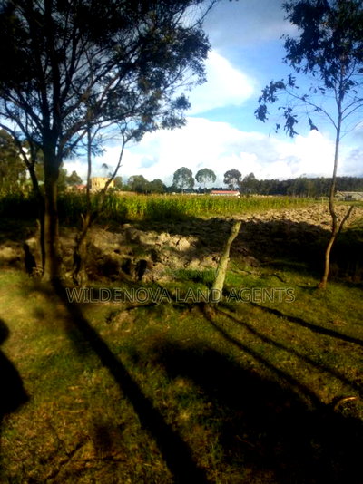 1 Acre of Land on Sale at South Kinangop - Image 4