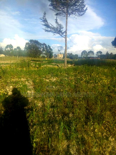 1 Acre of Land on Sale at South Kinangop - Image 1