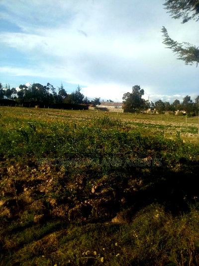 1 Acre of Land on Sale at South Kinangop - Image 6