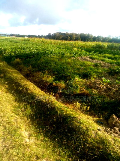 1 Acre of Land on Sale at South Kinangop - Image 7