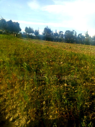 1 Acre of Land on Sale at South Kinangop - Image 3