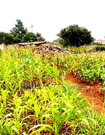 Half Acre Valley View Estate Kiambu - Image 5