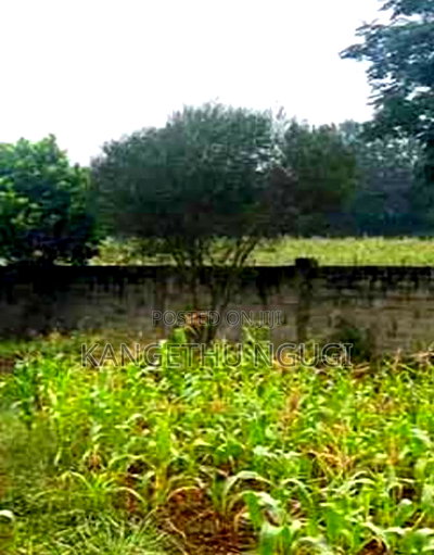 Half Acre Valley View Estate Kiambu - Image 3