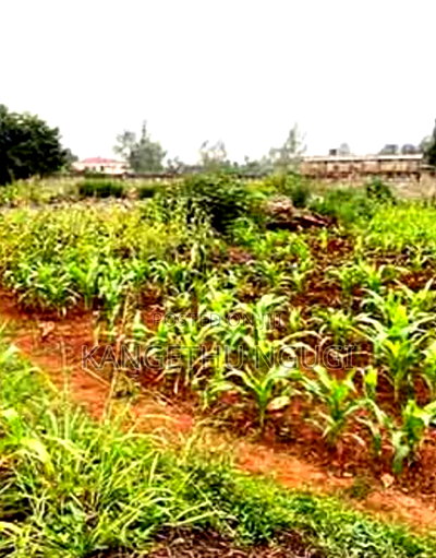 Half Acre Valley View Estate Kiambu - Image 4