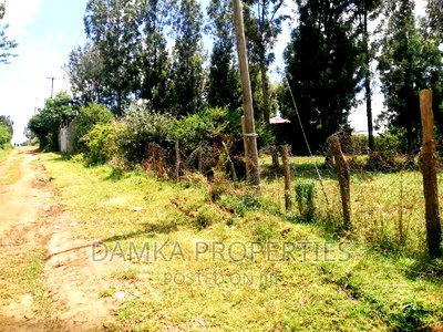 50*100 Plot for Sale in Kiamunyi Olive Inn - Image 4