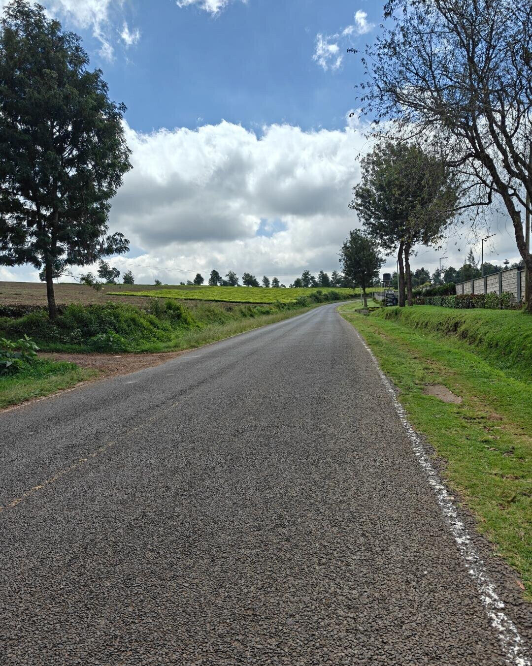 12.5-Acre Garden Land with Parking - Kiambu