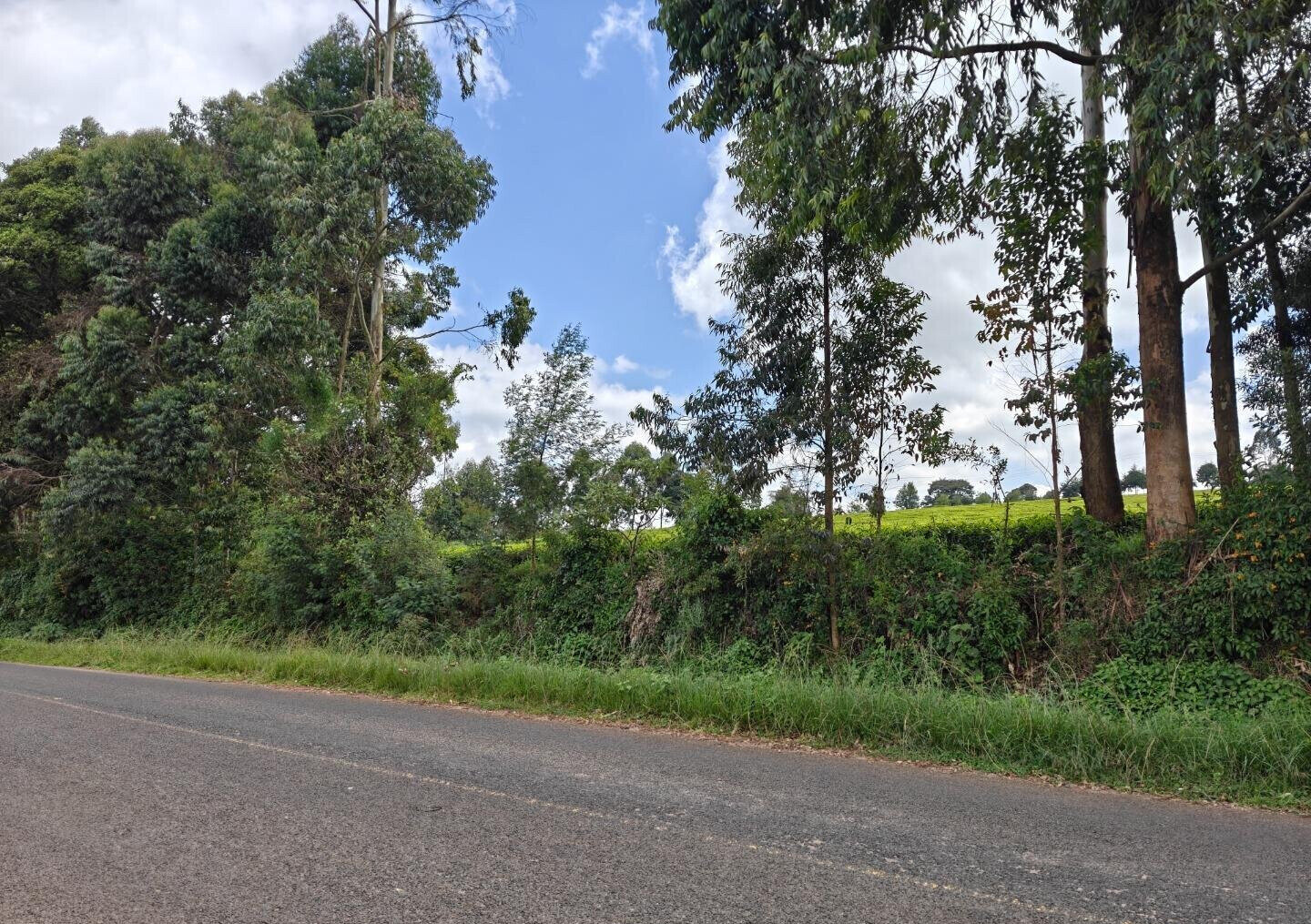 12.5-Acre Garden Land with Parking - Kiambu