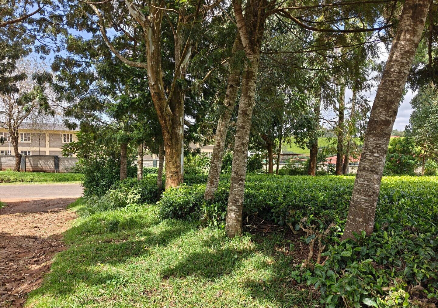 12.5-Acre Garden Land with Parking - Kiambu
