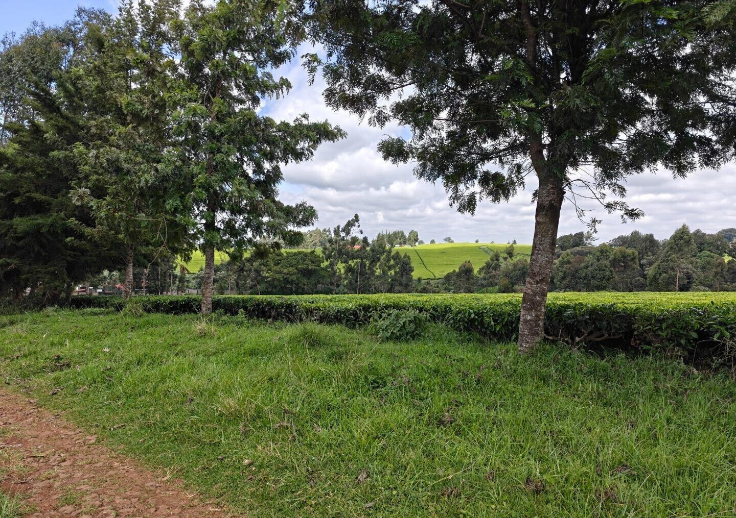 12.5-Acre Garden Land with Parking - Kiambu