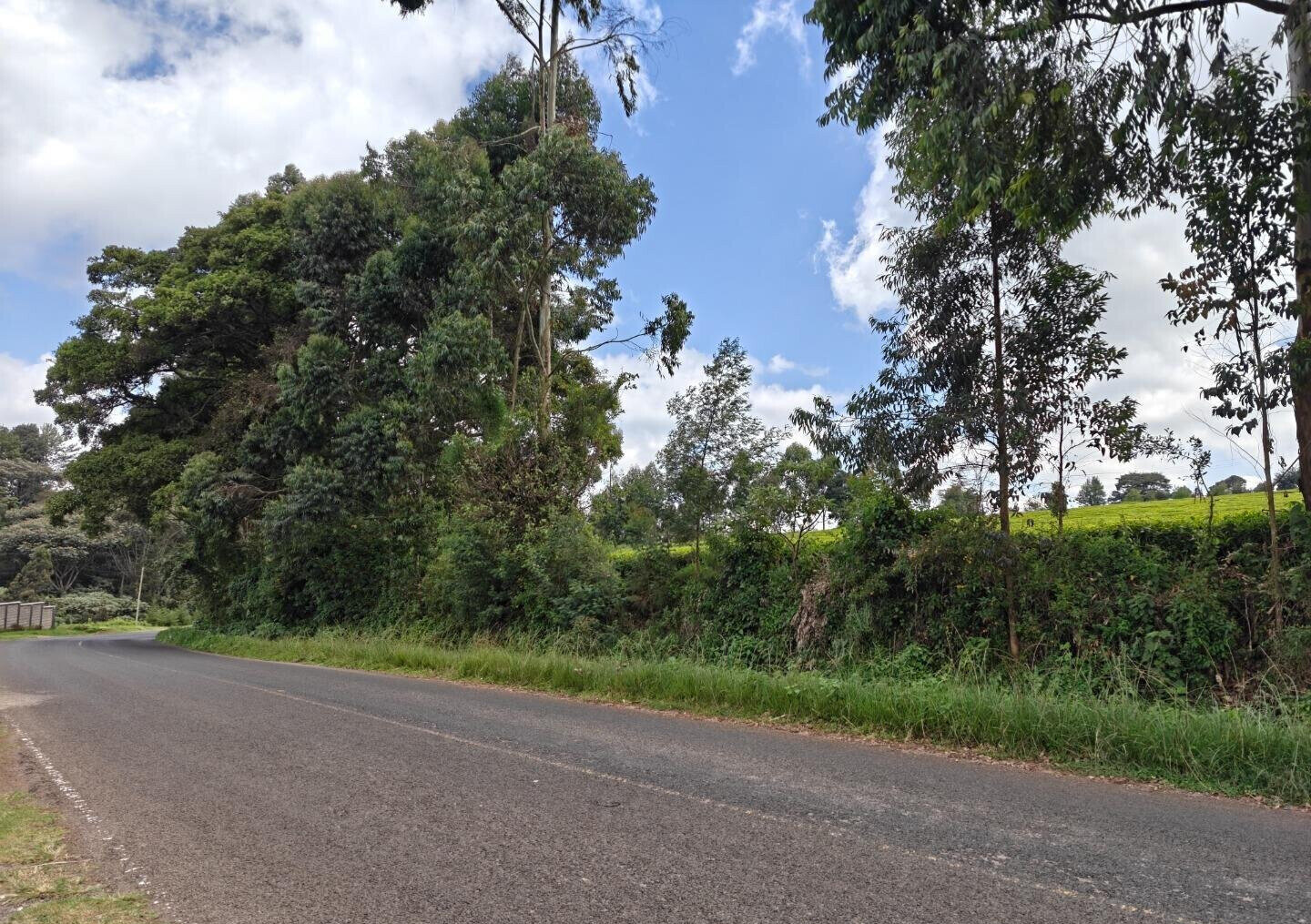 12.5-Acre Garden Land with Parking - Kiambu