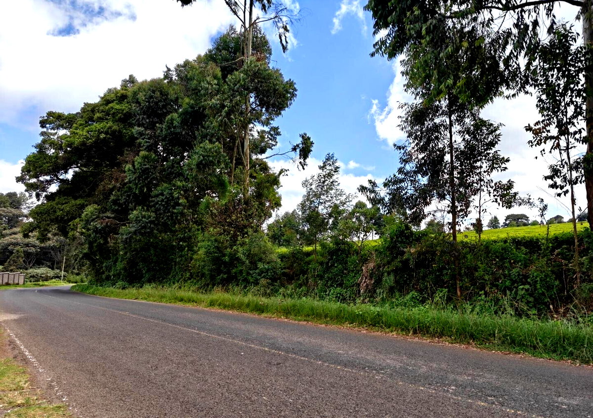12.5-Acre Garden Land with Parking - Kiambu