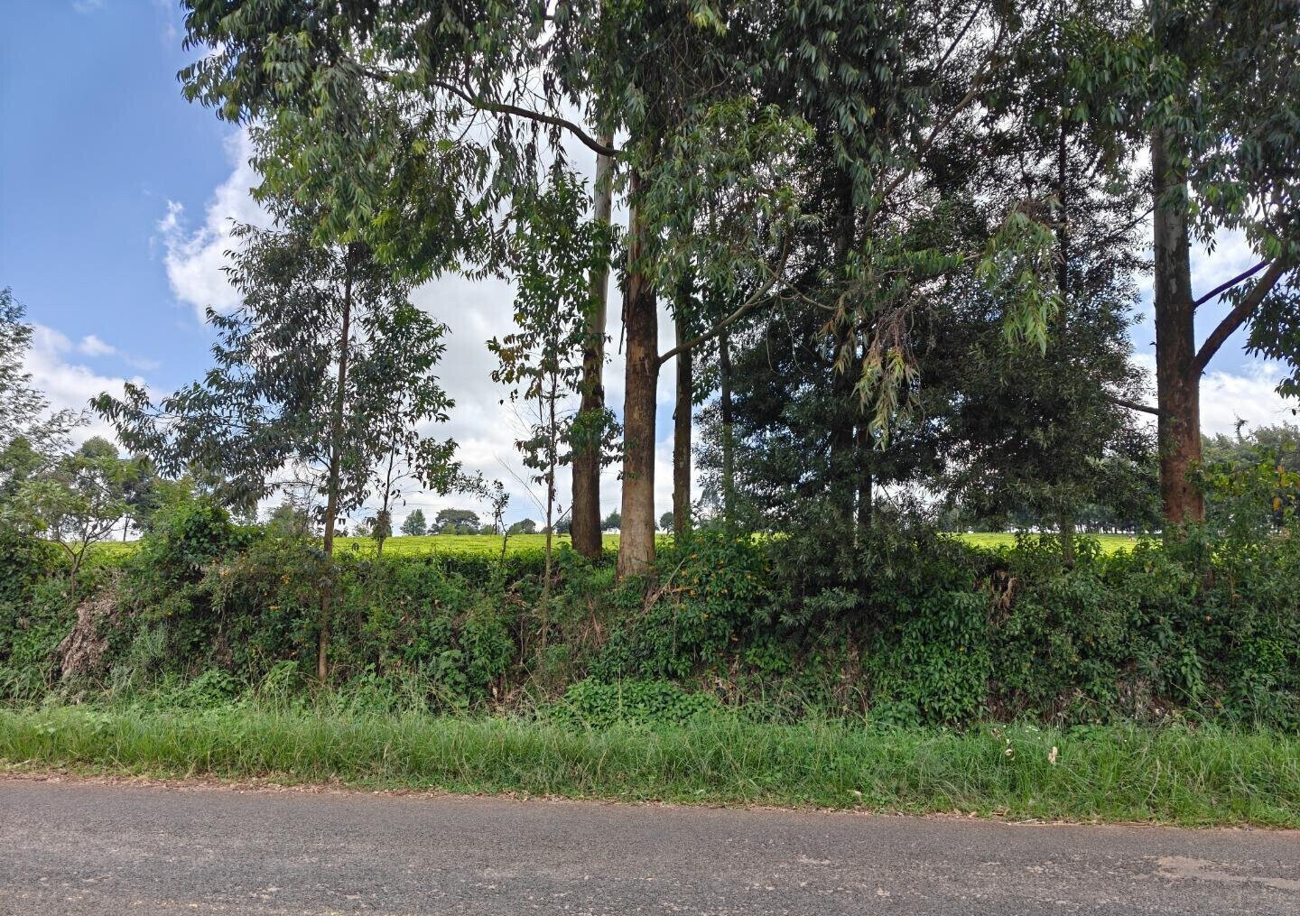 12.5-Acre Garden Land with Parking - Kiambu