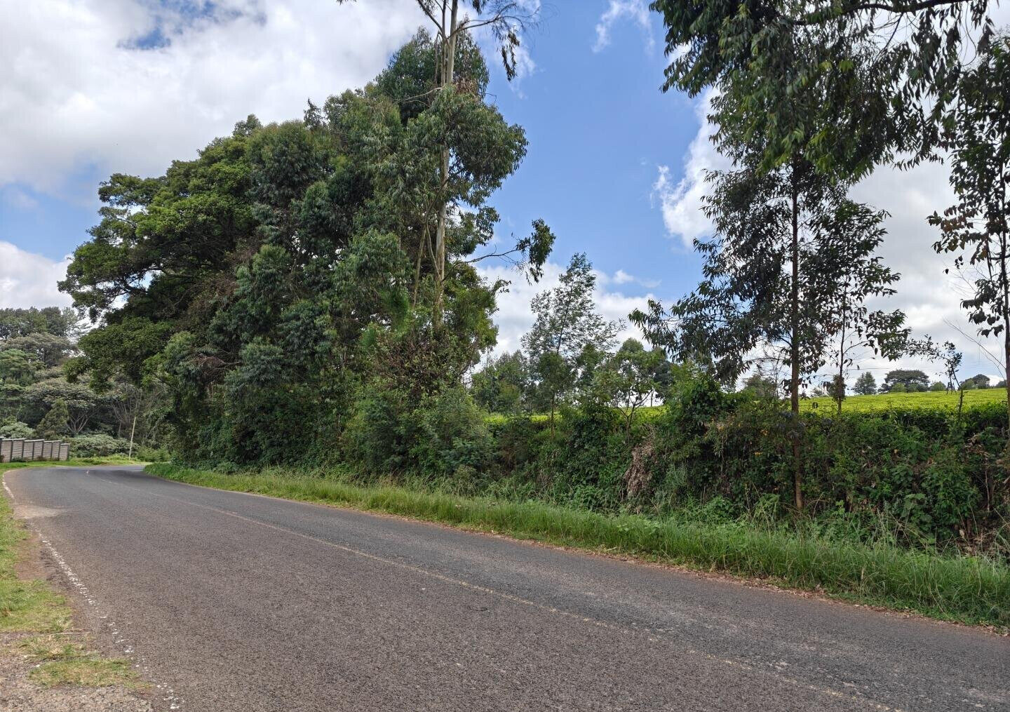 12.5-Acre Garden Land with Parking - Kiambu