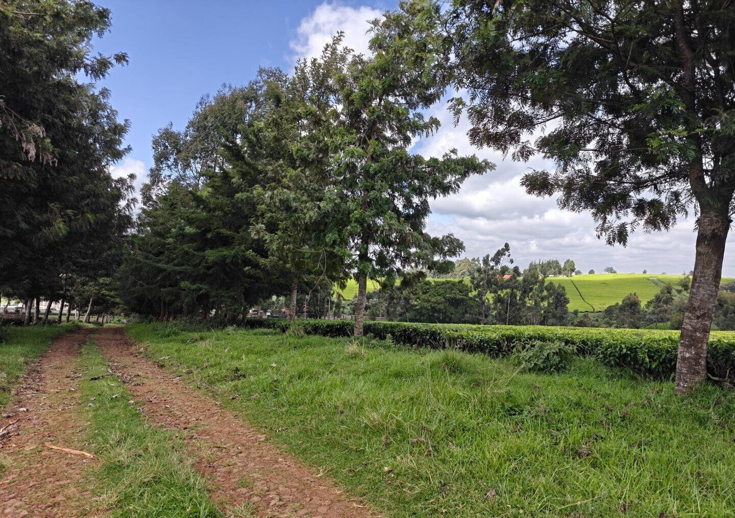 12.5-Acre Garden Land with Parking - Kiambu