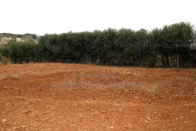 Embu County, Gitaru 4.6 Acres Farmland Next to Kengen - Image 10