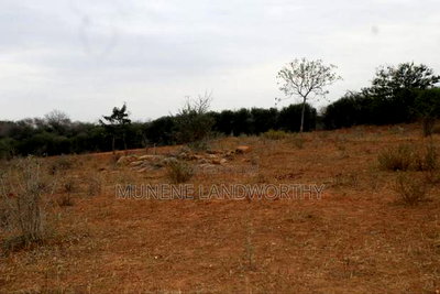 Embu County, Gitaru 4.6 Acres Farmland Next to Kengen - Image 17