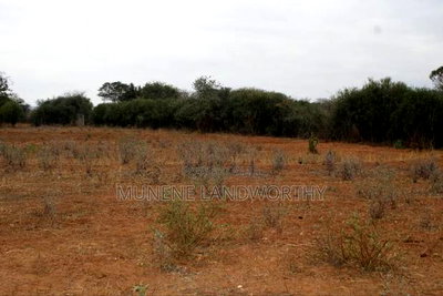 Embu County, Gitaru 4.6 Acres Farmland Next to Kengen - Image 4
