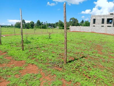 1/4acre Plots for Sale in Racecourse - Image 2