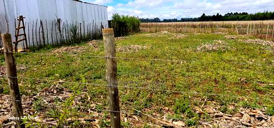 Prime Plot for Sale in Marura Chemaluk Eldoret - Image 1