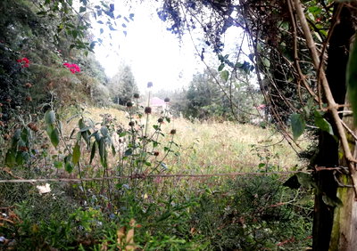 50x100 Garden Plot at KSh 2.2M