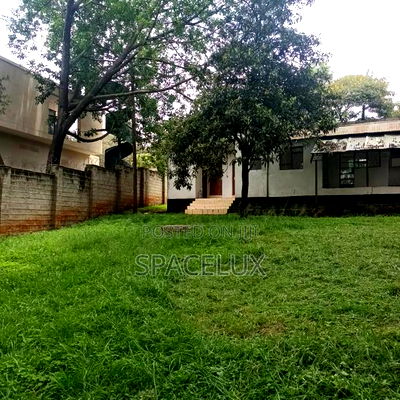 1acre Lavington Restaurant ,Office - Image 5