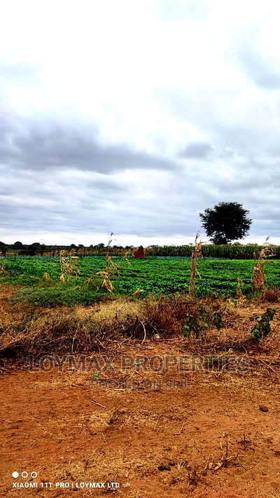 47 Acres for Sale in Kajiado Mashuru - Image 10