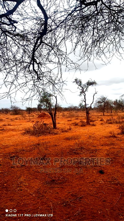 47 Acres for Sale in Kajiado Mashuru - Image 3