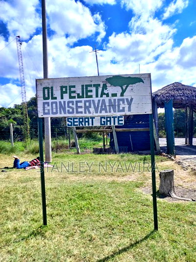 5 Acres for Sale Nanyuki - Image 4