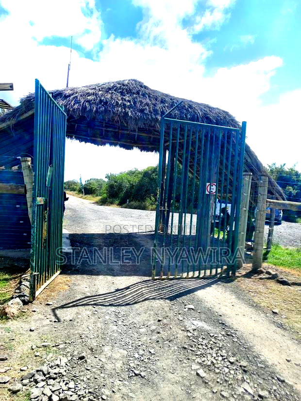 5 Acres for Sale Nanyuki