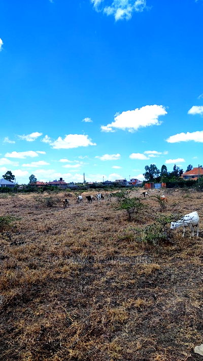 1/4 Plot on Sale in Kitengela Milimani - Image 3