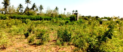 4-Acre Land in Tezo, Kilifi for KSh 10.6M