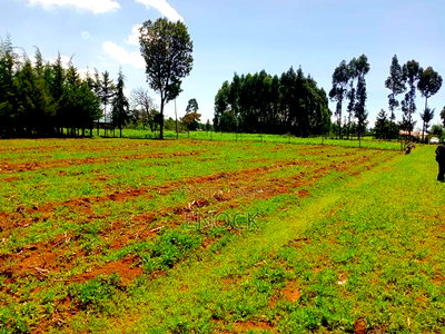 Prime Residential Plots in Kiambaa Eldoret - Image 3