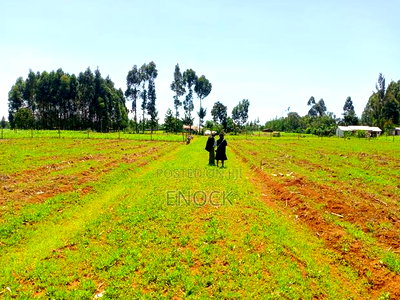 Prime Residential Plots in Kiambaa Eldoret - Image 1