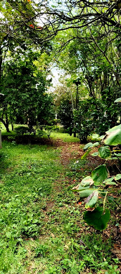 6bdrm Maisonette in Ololua, Ngong for sale - Image 8