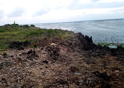 3.5-Acre Oceanfront Plot in Watamu