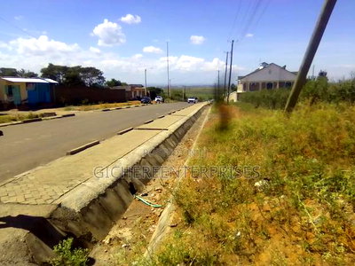 Ruai Hurligham - Image 6