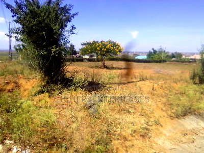 Ruai Hurligham - Image 5