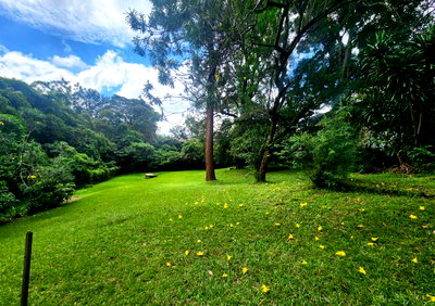 3/4 Acre Garden Plot with Parking in Kileleshwa