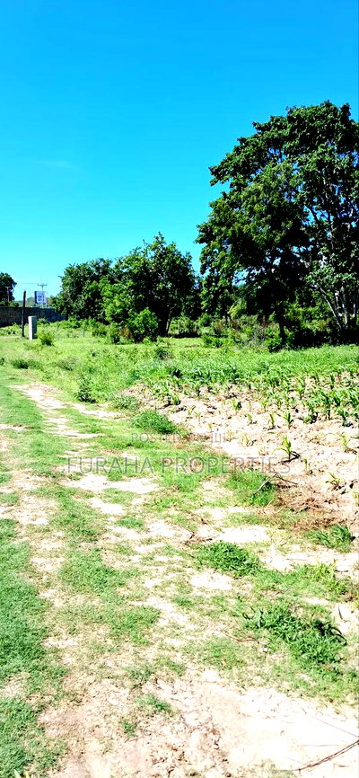 For Sale 80 Acres Land Vipingo - Image 6