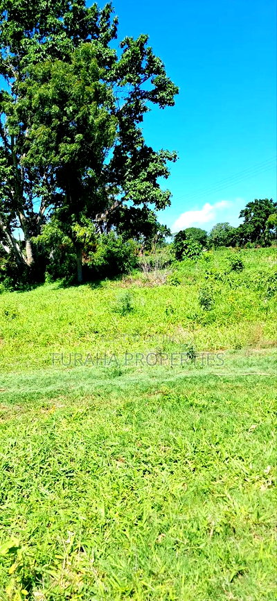 For Sale 80 Acres Land Vipingo - Image 8