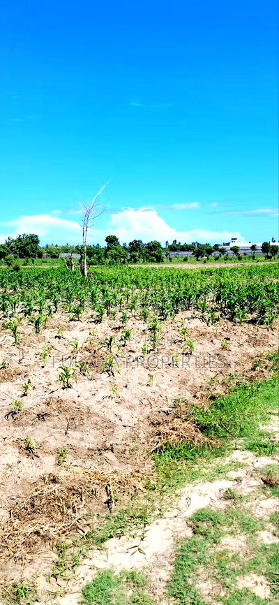 For Sale 80 Acres Land Vipingo - Image 3