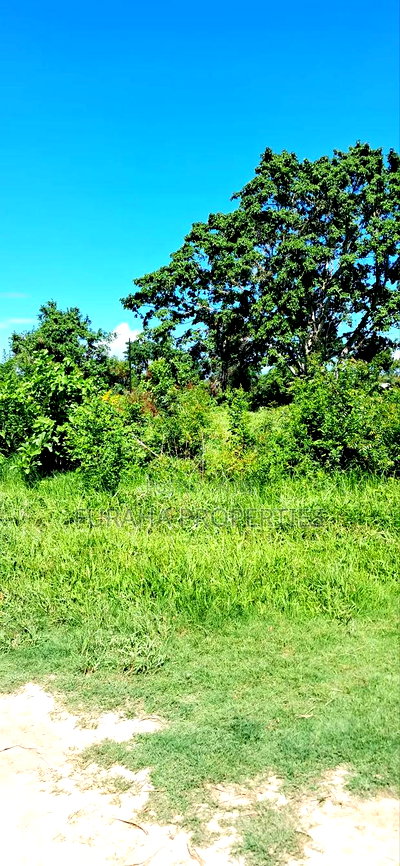 For Sale 80 Acres Land Vipingo - Image 2