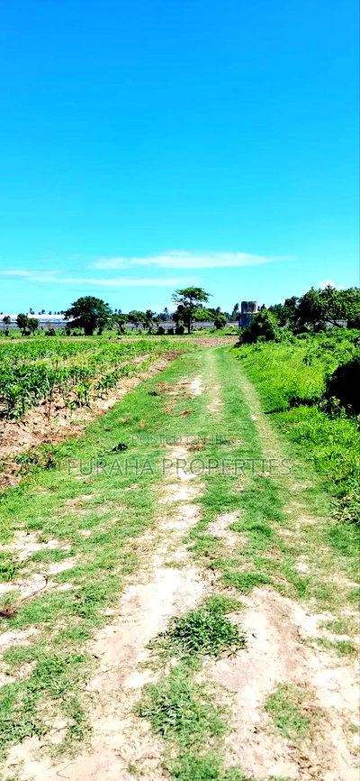 For Sale 80 Acres Land Vipingo - Image 4