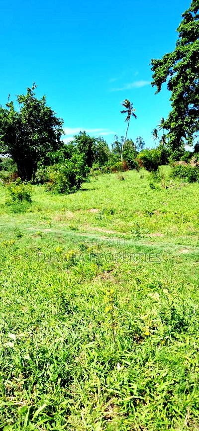 For Sale 80 Acres Land Vipingo - Image 7