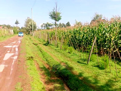 1/8 Acre Residential Plots For Sale In Outspan, Eldoret - Image 1