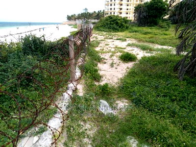Nyali Sandy Beach , 5 Acres - Image 5
