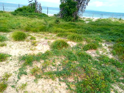 Nyali Sandy Beach , 5 Acres - Image 6